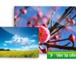 Cupones Descuento para Murales en Photobox