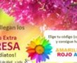 cupones-perfumerias-if