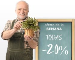 Cupones Descuento El Mercado de las flores