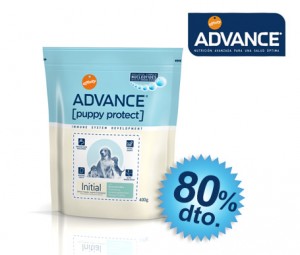 descuentos promomascotas